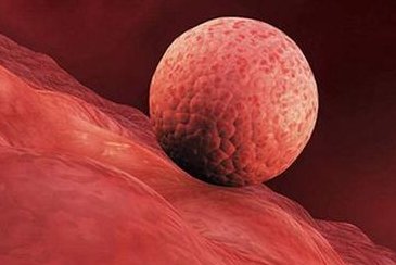 湖南省助孕生子领域揭秘：三大顶级机构深度评测对比