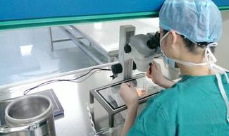 卵泡黄素化如何悄然影响试管婴儿成功率，必看细节