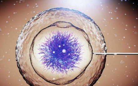 做三代试管婴儿助孕总共需要几个月？ 一般2个月左右即可