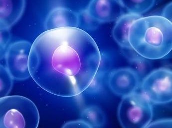 一代好还是二代好试管？两代之间有什么区别？