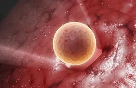 哪些因素影响安徽三代试管医院的排名